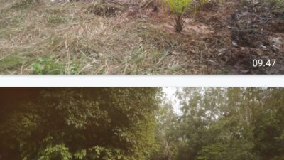 Warga resah akibat kebocoran pipa Pertamina,yang berdampak negatif bagi masyarakat dan lingkungan 