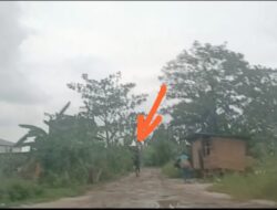 Diduga gudang BBM ilegal FSL yang dijaga dengan ketat seperti pengawal yang menjaga dan mempertahankan bak kerajaan singasana